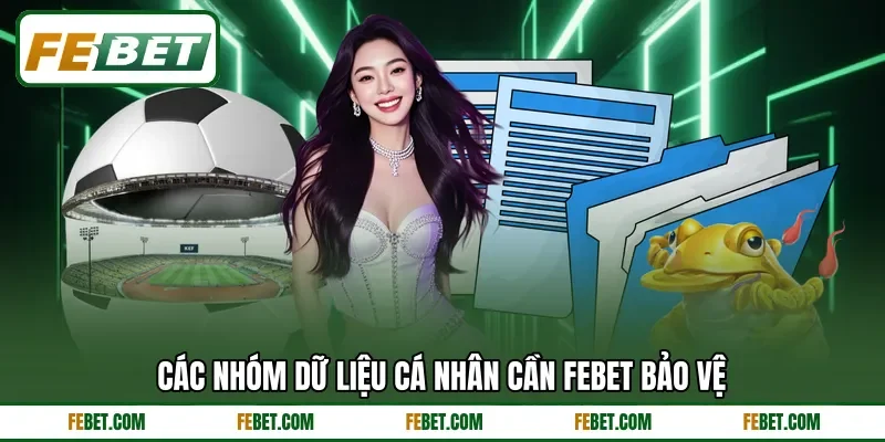 Các nhóm dữ liệu cá nhân cần Febet bảo vệ