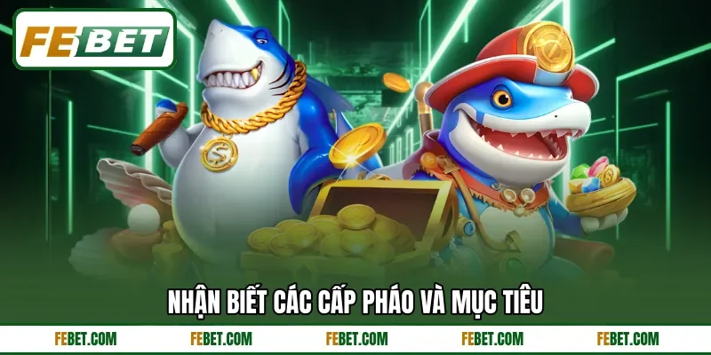 Nhận biết các cấp pháo và mục tiêu